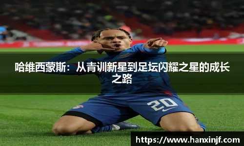 球速体育全站
